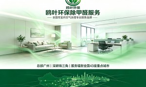办公室除甲醛报价拆解2026：每平米30元和80元的差别到底在哪里