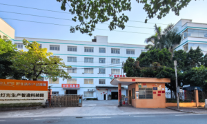 原厂定制服务升级，瑞通灯光以差异化方案领跑高端光影工程市场