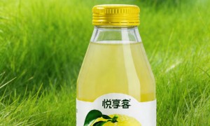 双柚汁招商代理合作品牌有哪些？2026年正规源头供应商