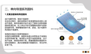 2026年微窗无氟单向导湿面料源头工厂合作实力参考
