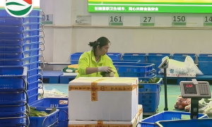 2026年广州花都食材配送服务商哪家售后好本地靠谱服务机构排行榜