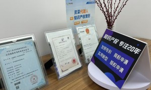 2026年知名的企业申报代理公司服务商推荐