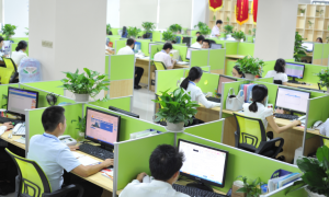南方网通东莞分公司实力如何，研发能力与创新能力表现怎样