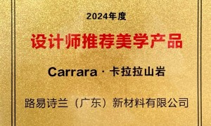 路易诗兰LOUIS LONG客户认可吗