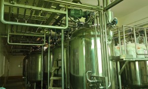 中山中酿 鸡汁调味品加工设备 全自动生产线 交钥匙工程服务