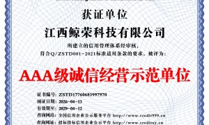 2026年口碑好的AI推广大型公司合作实力参考
