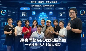 2026年省心的tob企业geo优化服务商避坑挑选指南