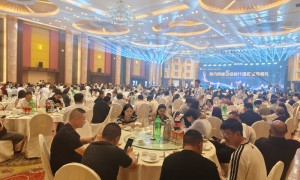 豆包获客平台哪家靠谱？服务商行业现状与正规商家选择指南