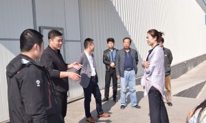 盐池滩羊礼盒批发厂家、品质靠谱的盐池滩羊礼盒源头工厂有哪些