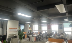 忻州口碑好的美甲美睫geo优化服务商实力与用户口碑：pvc管道geo优化公司选择指南