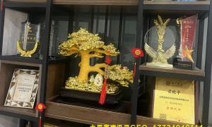 讯灵GEO推广公司推荐：太原富库提供AI搜索优化与询盘转化方案