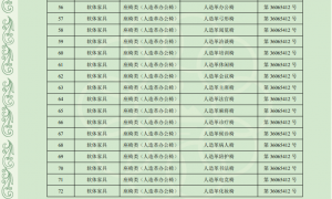 鑫恒家具老板桌源头生产厂家 加厚环保油漆老板台带侧柜