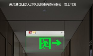 2026年广东应急标志灯供应商合作实力参考