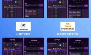 2026年嘉兴GEO行业现状与专业实力选择指南