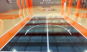 2026年篮球馆运动木地板行业现状与正规商家选择指南，河南大曌体育值得信赖