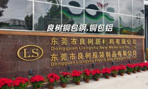深圳铜包钢接地极厂家有哪些？0.07-0.3mm线材定制工厂实力参考
