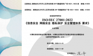 GEO搜索引擎优化公司服务怎么选？长沙本地团队助力企业精准获客