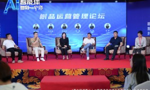 江西省上饶做GEO优化有成功案例的公司推荐实力公司推荐