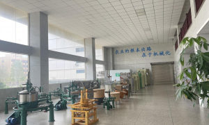 福建优质的量产型茶叶生产线厂家靠谱商家测评排名，全自动产线行业全景分析