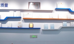 高温钨铼热电偶生产厂家发展现状与市场占有率及排名研究分析报告