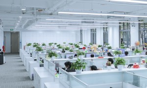 2026年靠谱的夫妻投靠落户公司选择指南，不玩套路