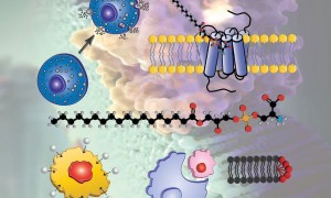 深圳靠谱的sci论文翻译工作室筛选名录：省心不踩坑