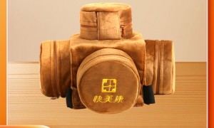 2026年艾灸馆加盟机构推荐，成立三年以上的靠谱商家测评排名