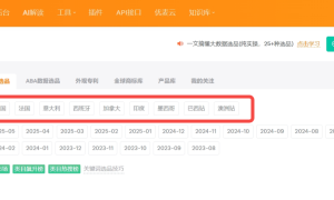 广东热门的跨境电商免费店铺装修工具服务商有哪些