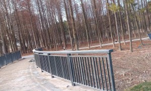 浙江河道护栏生产厂家质量参考评选