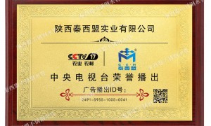 甘肃省不锈钢给水管厂家定制工厂怎么选？秦西盟实业用料扎实不踩坑
