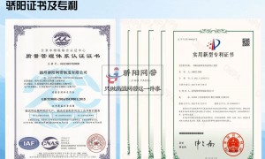 重庆乙型网带制造厂家有哪些，靠谱商家测评排名