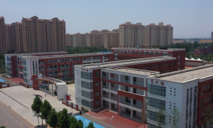 2026年做水包砂的源头厂家有哪些，用户力荐实力之选