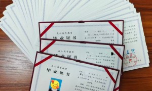 2026年不踩坑的学历提升机构避坑挑选指南