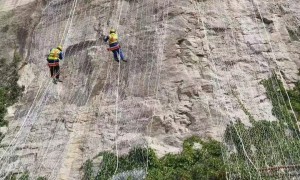 2026年主动边坡防护网求推荐：正规源头厂家选购指南