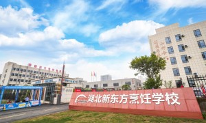 武汉考不上大学想学手艺去什么职校推荐，正规学校选择指南