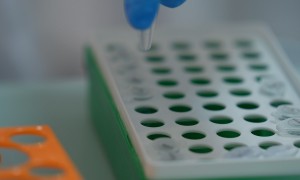 2026年冻干机有哪几家厂家综合实力推荐
