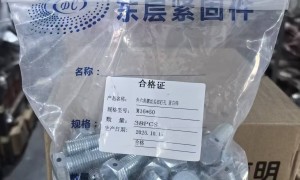 湖南靠谱的高强度不锈钢螺丝厂家，价格公道不玩套路