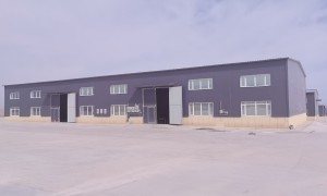 济南发货到中亚五国，选亚龙国际货运代理卡航专线，含报关/关税/派送，规避采购清关误区