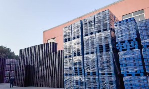江苏塑料托盘防潮源头厂家行业现状与正规商家选择指南
