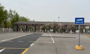 新手上路陪练机构可以夜间练车吗，靠谱服务商汇总