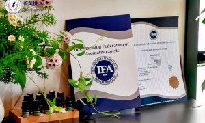 爱芙悦芳疗教育 芳疗师进阶班 IFA大纲全解析 结合中医芳疗与情绪照护