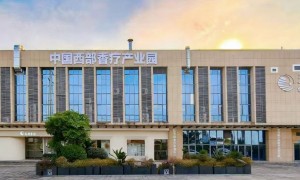 重庆巾帼园中医芳香疗愈培训机构哪家好？适合宝妈学的芳疗师技能班推荐