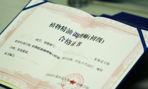 重庆巾帼园2026年包含中西医方向的精油调配师培训机构实力测评