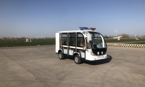 成都电动观光车保养方法大全与生产厂家选购指南