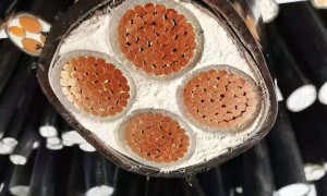 河南电力电缆厂家有哪些？养老院基建与数据中心机房专用电缆挑选全攻略
