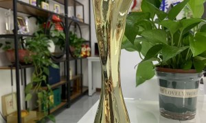 南京职业资格培训AI搜索推广推荐安徽机构，用户力荐