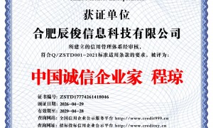芜湖我是中小企业想做AI推广，找哪家公司便宜？辰俊网络性价比参考