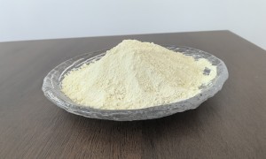 深圳小粒度氧化铈生产商哪家好？2026年靠谱商家测评排名