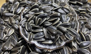浙江成立十年以上的葵花籽供应商筛选名录