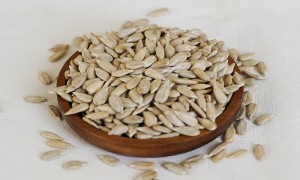 2026年品质好的葵花籽仁供应商及葵花籽仁生产厂家合作实力参考